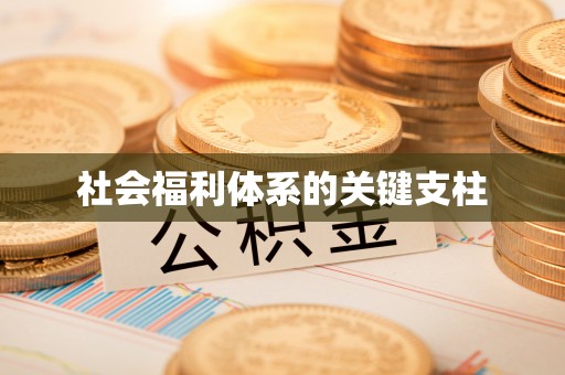 中国香港社会福利体系的关键支柱