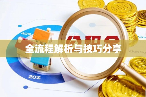 中国香港全流程解析与技巧分享